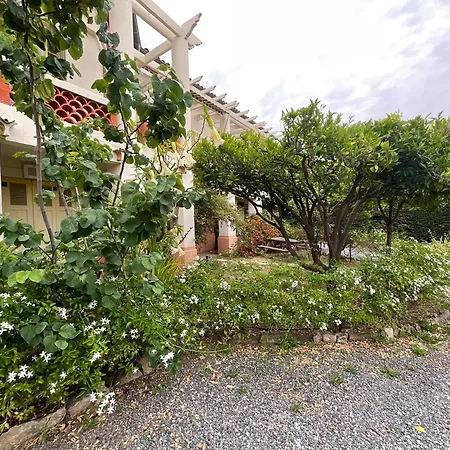 La Provence Appartement Hyères